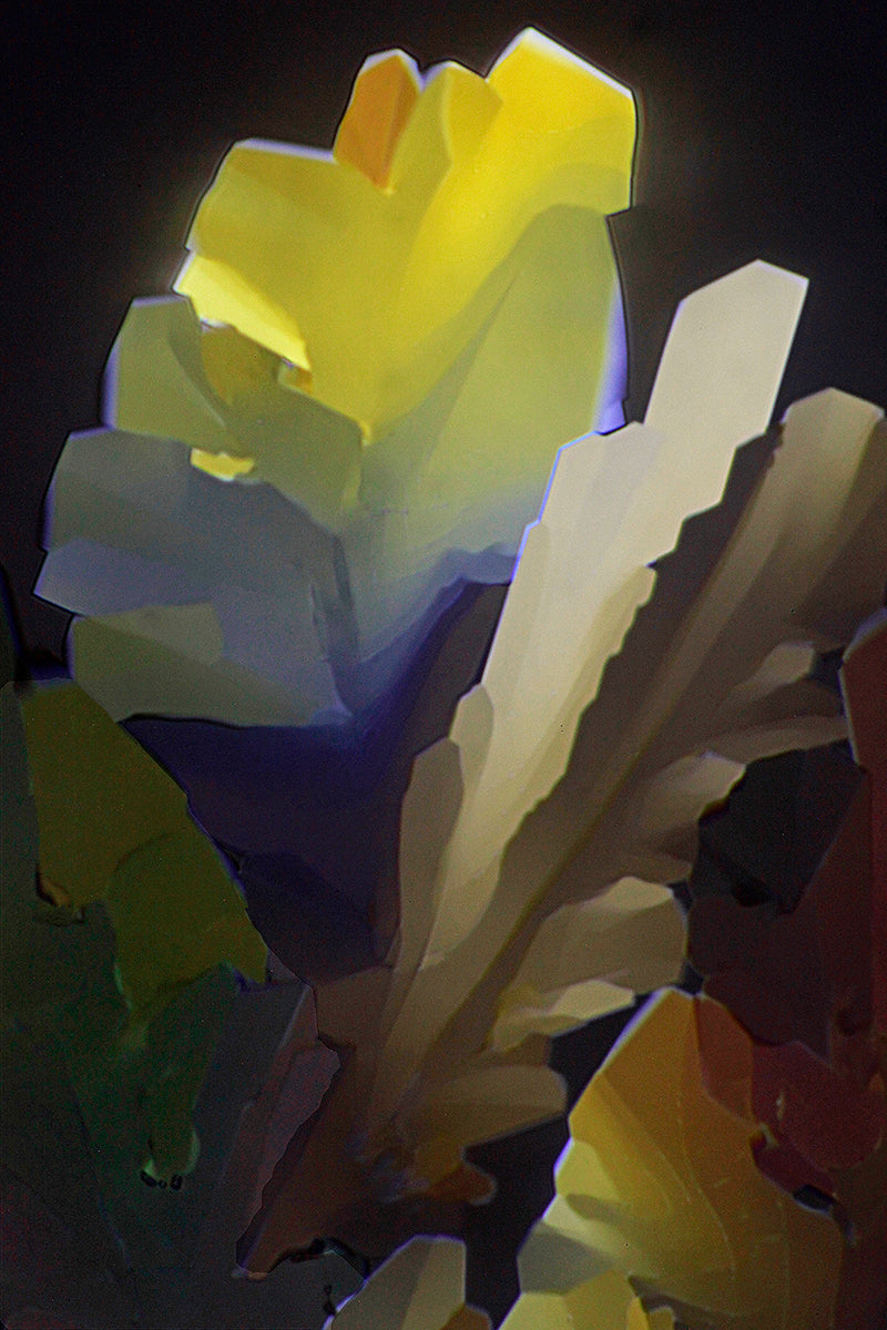 "REVIVAL" -Photograph of crystalline THC found in cannabis