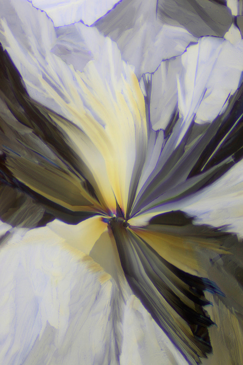 "SERENADE" -Photograph of crystalline tartaric found in wine