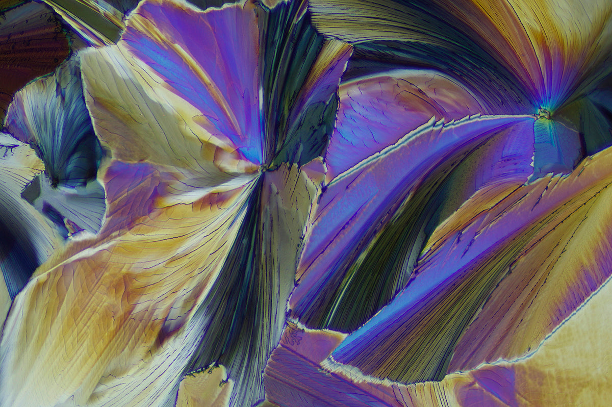 "SWEET SURRENDER" -Photograph of crystalline tartaric acid found in wine