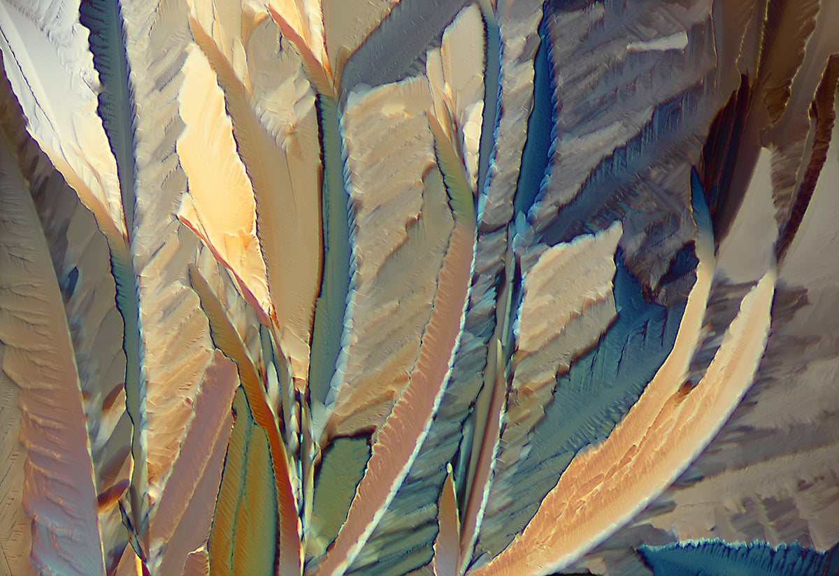 &quot;TRANQUILITY&quot; -Photograph of crystalline citric acid found in citrus