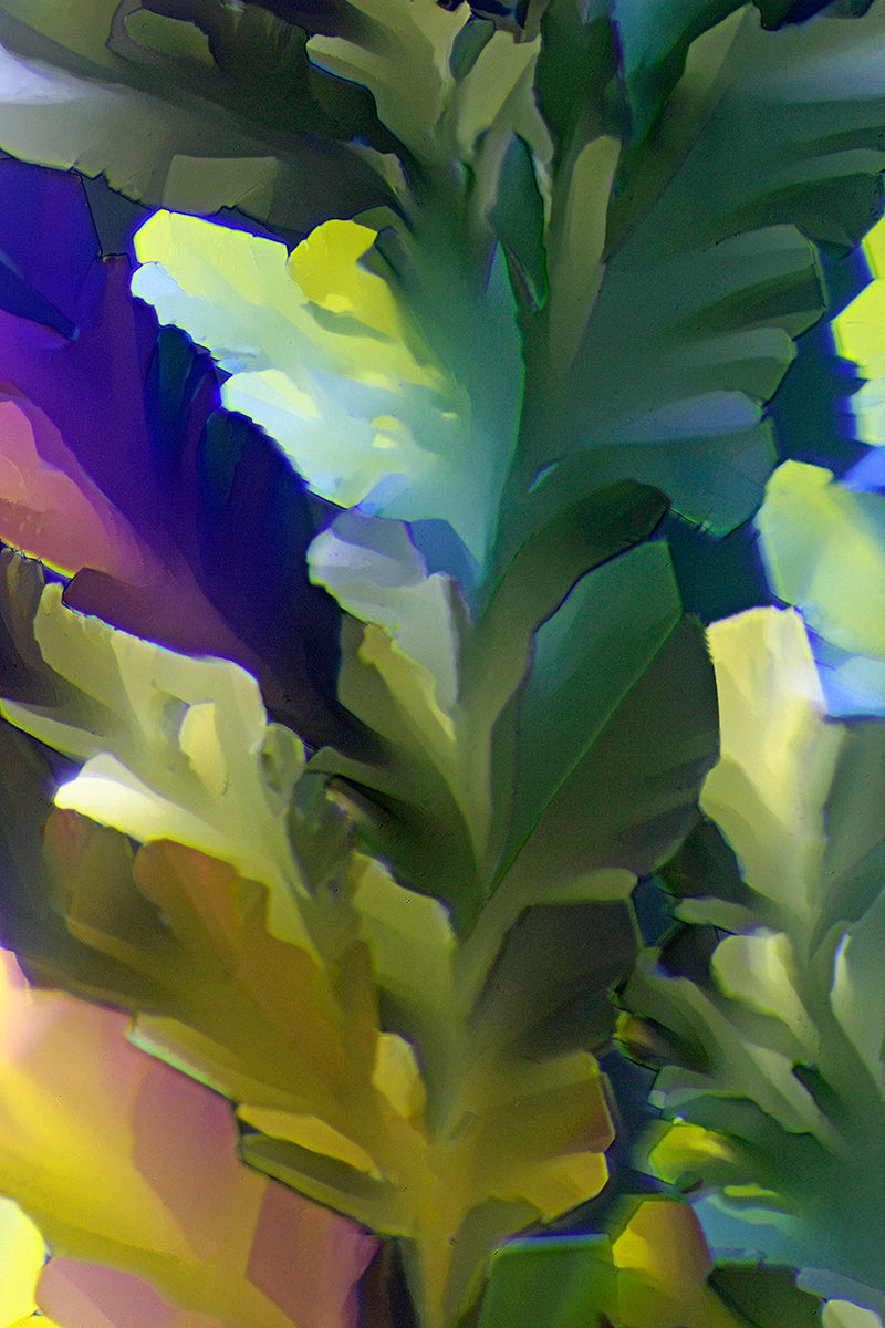 "TRANSFORMATION" -Photograph of crystalline THC found in Cannabis