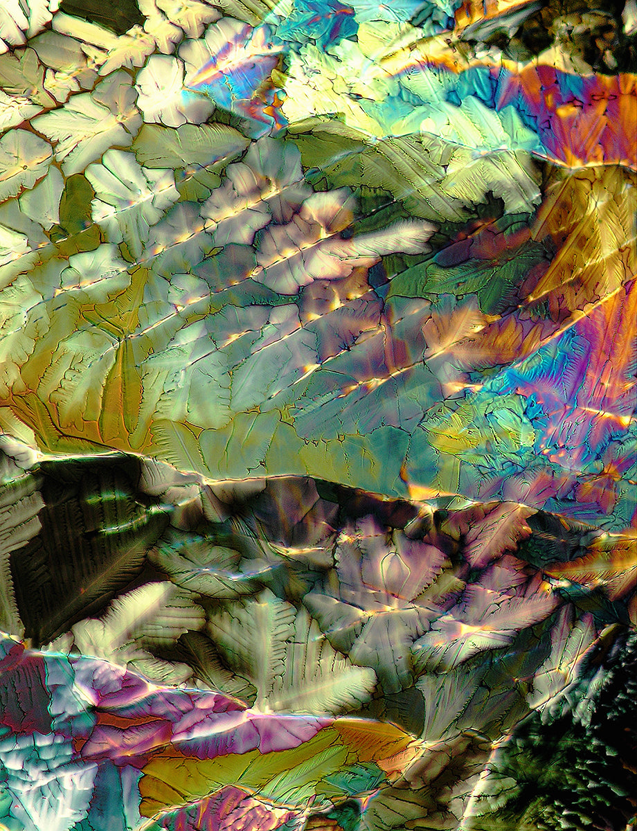 "TROPICS" - Photograph of crystalline citric acid found in citrus fruit